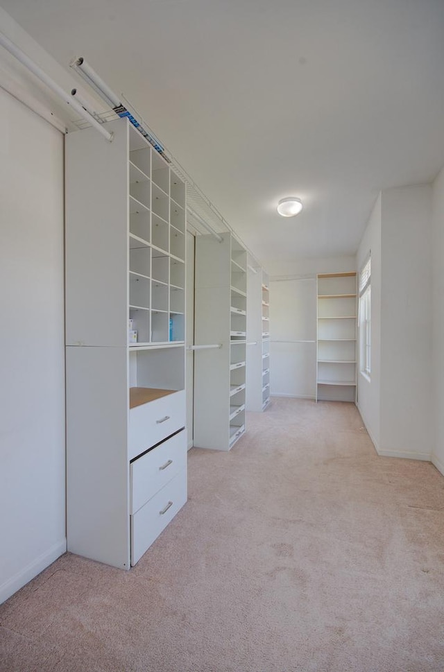 1120 Redwood Ln, Minooka, IL 60447 - spacious closet featuring carpet