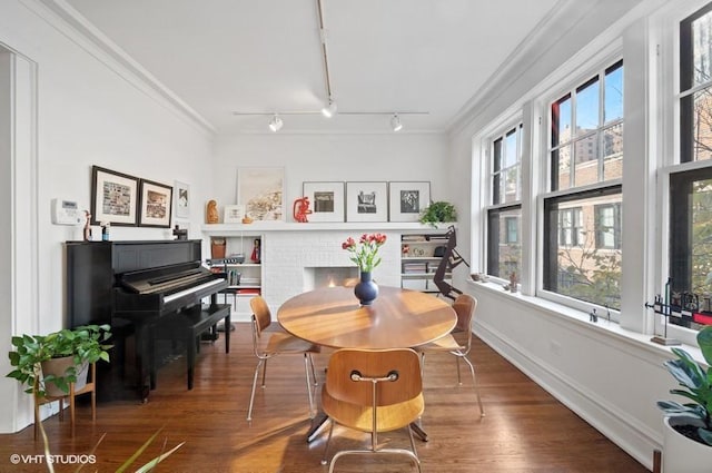 2311 N Commonwealth Ave Unit 3E, Chicago, IL 60614 - dining space with crown molding, a brick fireplace, rail lighting, and wood finished floors
