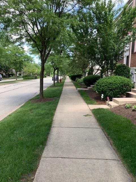 168 Willow Blvd, Willow Springs, IL 60480 - view of home's community