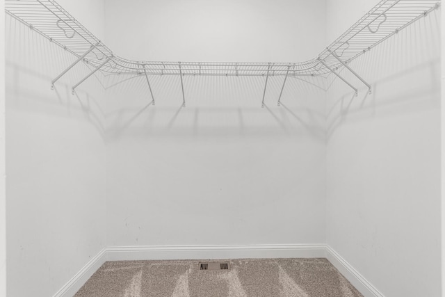 walk in closet featuring carpet floors