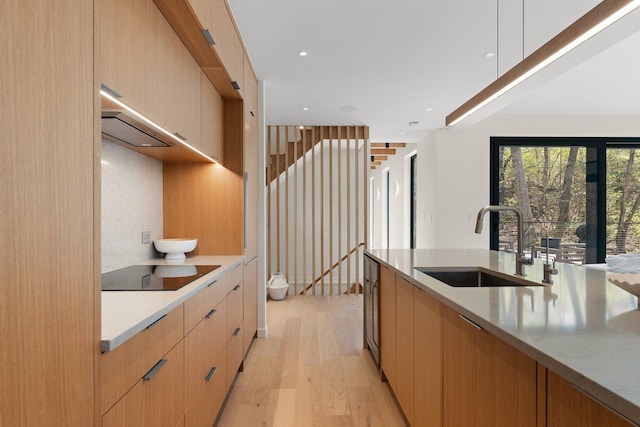 kitchen featuring black electric stovetop, a sink, modern cabinets, light wood-style flooring, and light brown cabinetry