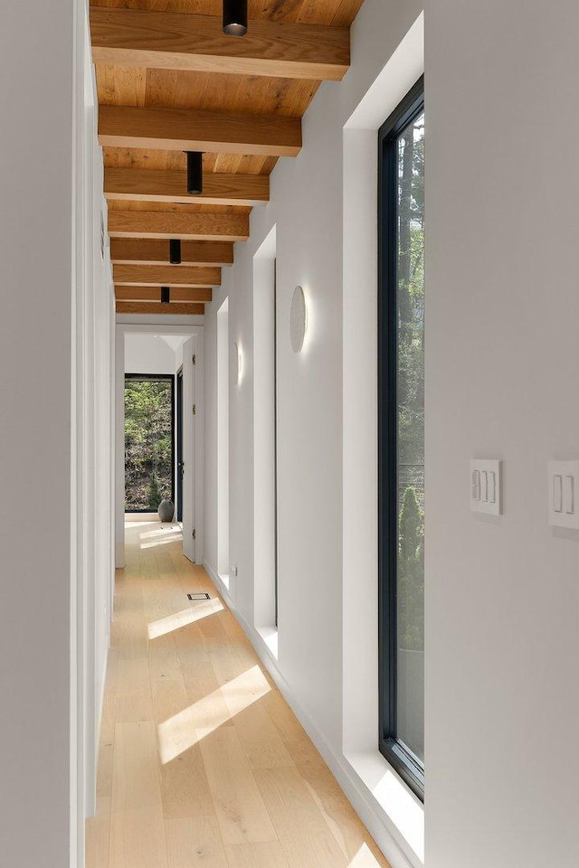 corridor with healthy amount of natural light, beam ceiling, wooden ceiling, and wood finished floors
