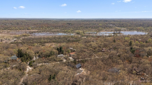 aerial view of property's location featuring a forest and a large body of water