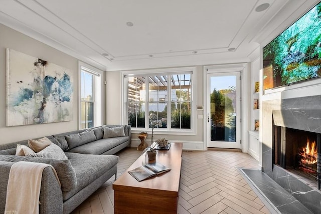 living area featuring a premium fireplace