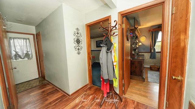 23233 W N Lakewood Ln, Lake Zurich, IL 60047 - hallway with baseboards, a wealth of natural light, wood finished floors, and a baseboard radiator