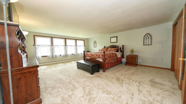 23233 W N Lakewood Ln, Lake Zurich, IL 60047 - carpeted bedroom featuring baseboards and baseboard heating