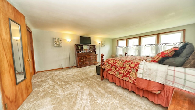 23233 W N Lakewood Ln, Lake Zurich, IL 60047 - bedroom with baseboards and light carpet