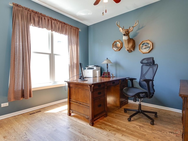 1341 N Home Ct, Palatine, IL 60074 - office featuring light wood-type flooring, baseboards, and ceiling fan