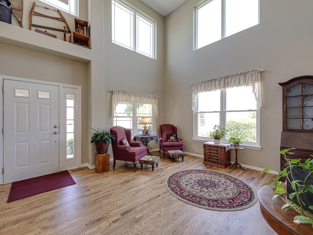 1341 N Home Ct, Palatine, IL 60074 - entrance foyer with a towering ceiling, wood finished floors, and baseboards