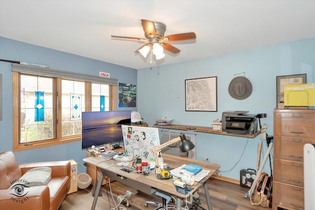 office featuring a ceiling fan and wood finished floors
