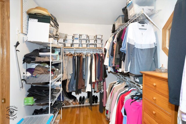 walk in closet featuring wood finished floors