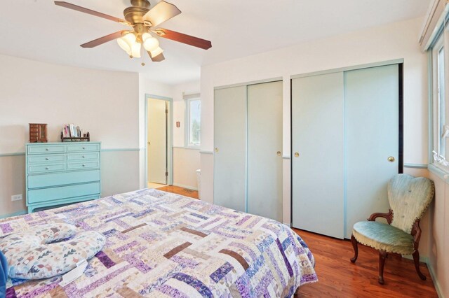 4569 Gettysburg Dr, Rolling Meadows, IL 60008 - bedroom with a ceiling fan, two closets, and wood finished floors