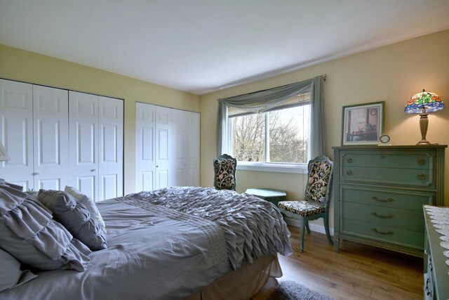 1923 Windward Ln Unit 1923, Hanover Park, IL 60133 - bedroom featuring baseboards, multiple closets, and light wood-style flooring