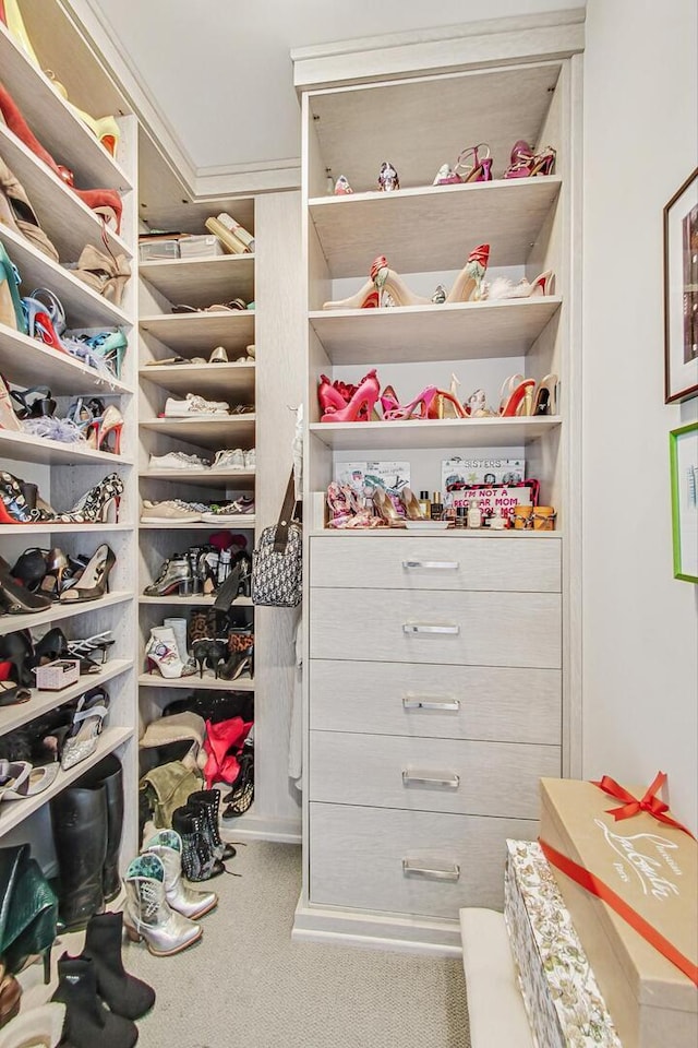 spacious closet with carpet