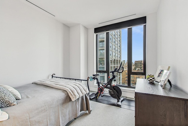 carpeted bedroom with a view of city