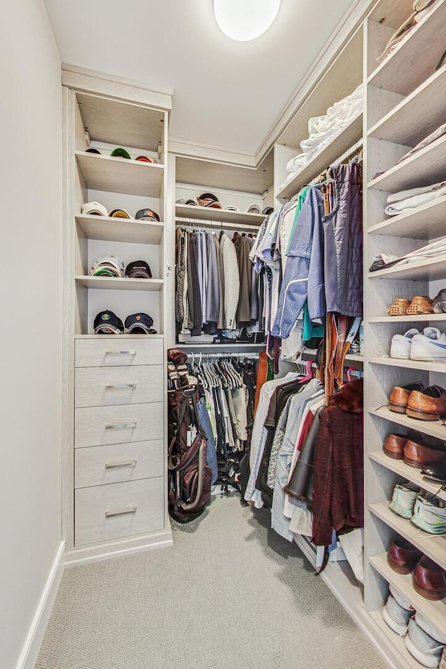 walk in closet with carpet