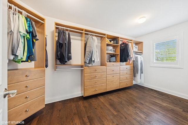 410 W 2nd St, Elmhurst, IL 60126 - walk in closet with dark wood-type flooring