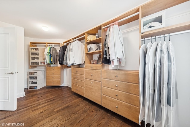 410 W 2nd St, Elmhurst, IL 60126 - spacious closet with dark wood-type flooring