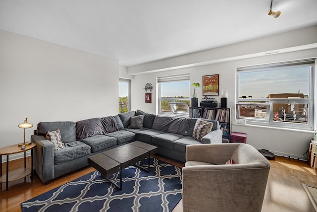 living room featuring wood finished floors