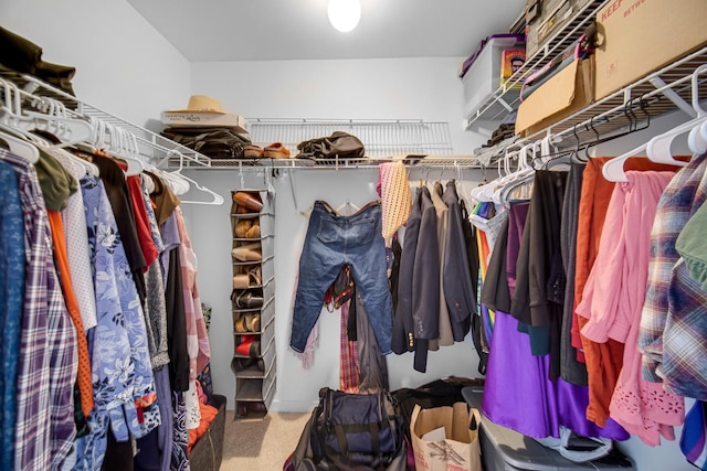 spacious closet with carpet floors