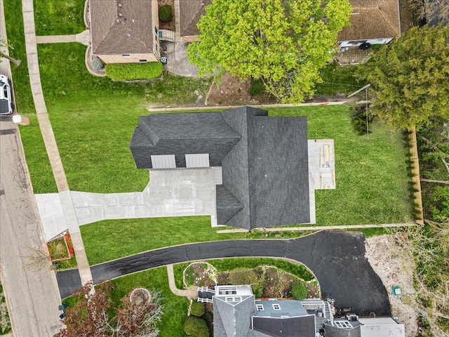 bird's eye view