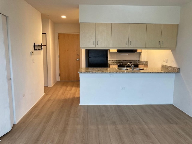 1740 Oak Ave Unit 307, Evanston, IL 60201 - kitchen with freestanding refrigerator, a peninsula, light wood-style flooring, a sink, and stone counters
