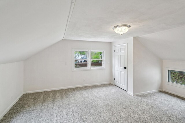 additional living space with baseboards, a wealth of natural light, carpet, and lofted ceiling