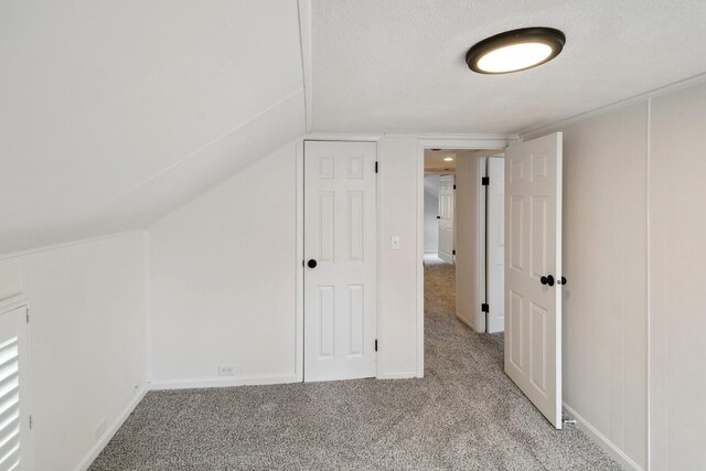 additional living space with carpet floors