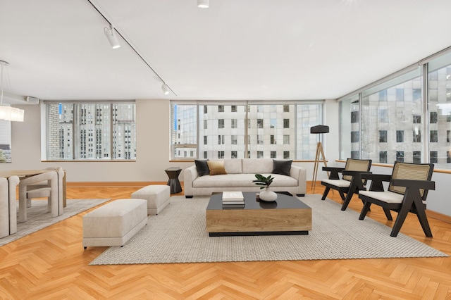 living area with baseboards and rail lighting