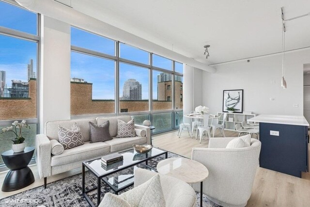 living room featuring light wood-type flooring and a city view