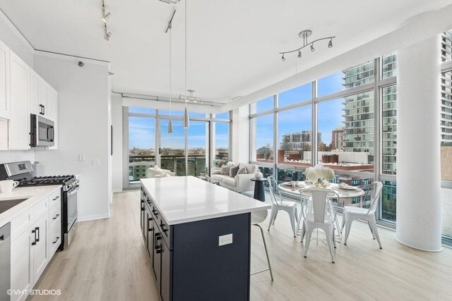 kitchen with light wood-type flooring, floor to ceiling windows, a center island, and stainless steel appliances