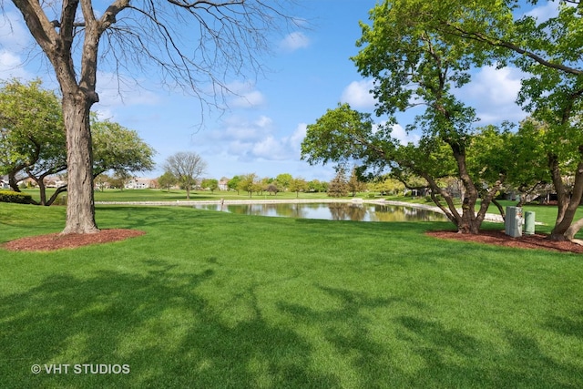 1537 Aberdeen Ct Unit 67, Naperville, IL 60564 - view of yard featuring a water view