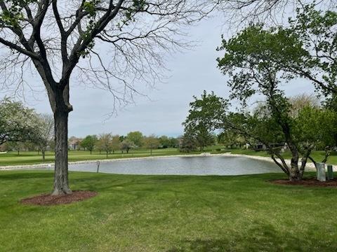 view of home's community with a lawn and a water view