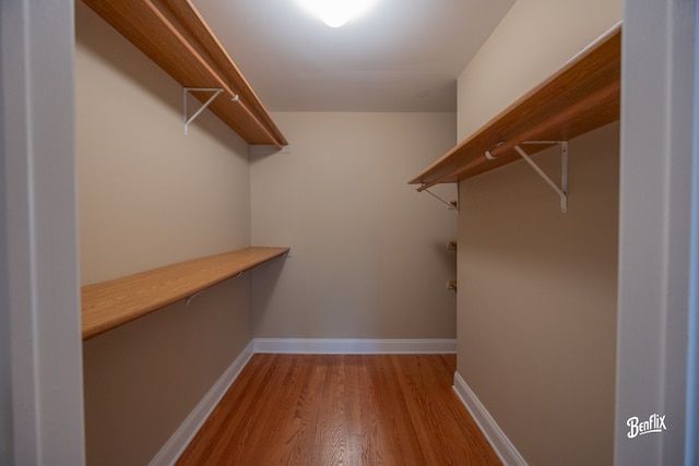 143 Midway Ln, Vernon Hills, IL 60061 - walk in closet with light wood-style flooring