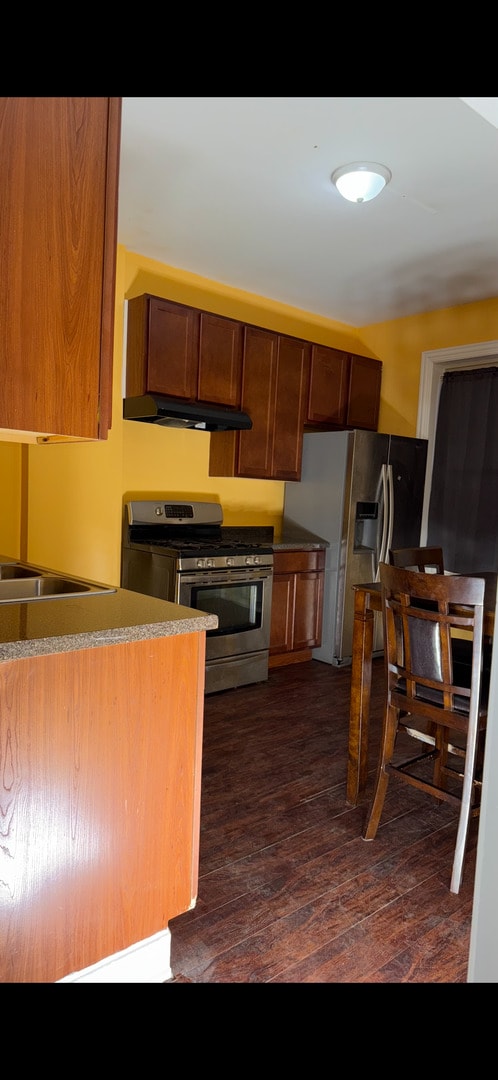 3824 W Grenshaw St, Chicago, IL 60624 - kitchen with stainless steel appliances, under cabinet range hood, dark wood-type flooring, and a sink