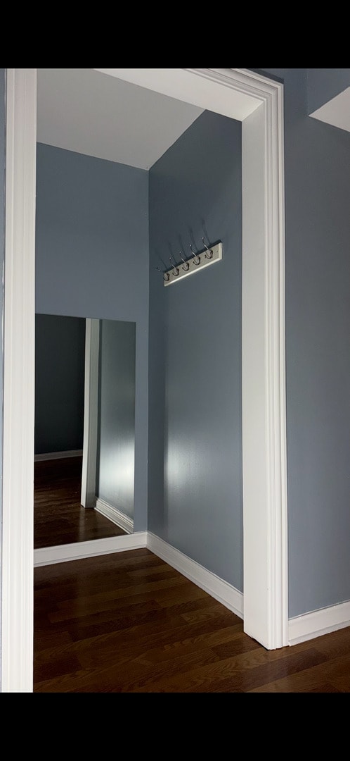 3824 W Grenshaw St, Chicago, IL 60624 - view of closet