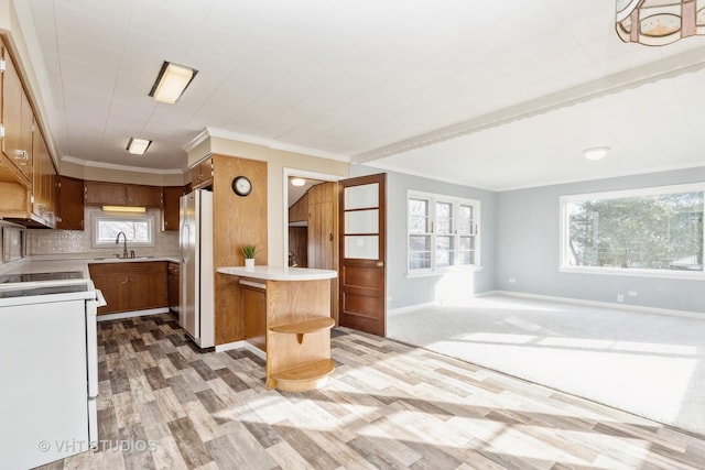 27569 N Beech St, Island Lake, IL 60042 - kitchen with freestanding refrigerator, electric stove, light countertops, a sink, and a peninsula