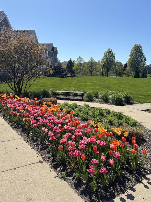 3711 Neubauer Cir Unit 106, Lindenhurst, IL 60046 - view of community featuring a yard