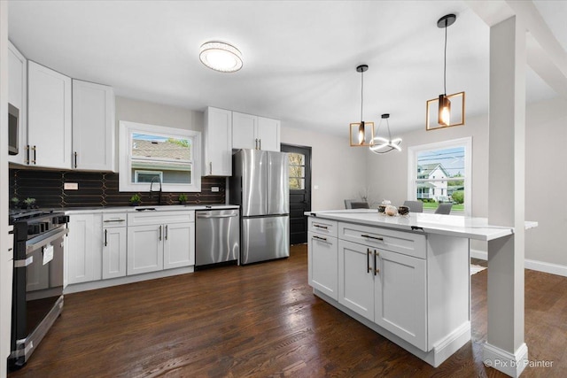4430 Roslyn Rd, Downers Grove, IL 60515 - kitchen featuring a healthy amount of sunlight, stainless steel appliances, dark wood-style floors, and a sink