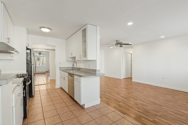 8440 Skokie Blvd Unit 102, Skokie, IL 60077 - kitchen featuring a ceiling fan, a sink, stainless steel appliances, under cabinet range hood, and recessed lighting