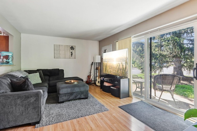 829 S Dwyer Ave Unit B, Arlington Heights, IL 60005 - living area featuring light wood-style floors