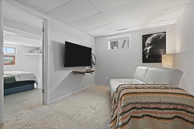 bedroom with baseboards, carpet, and a paneled ceiling