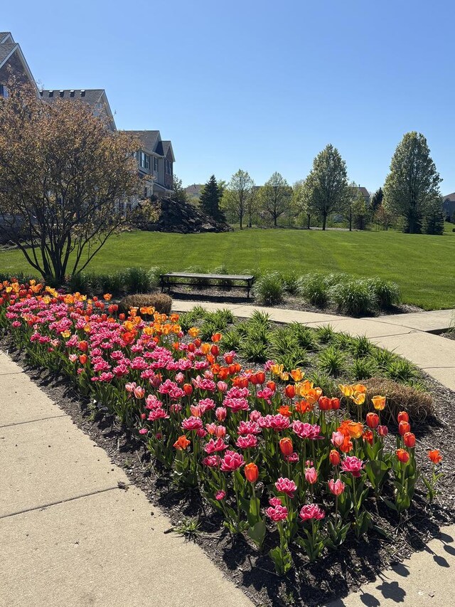 1909 Neubauer Cir Unit 1001, Lindenhurst, IL 60046 - view of property's community featuring a yard