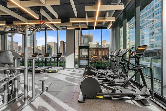workout area featuring a view of skyline