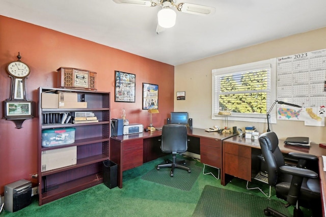 office with carpet and a ceiling fan