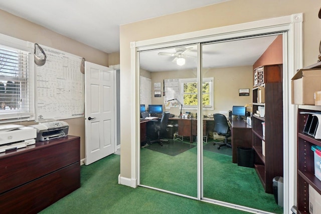 office featuring ceiling fan and carpet