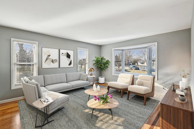 living area featuring baseboards and wood finished floors