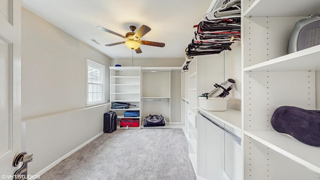 walk in closet featuring visible vents, carpet flooring, and ceiling fan