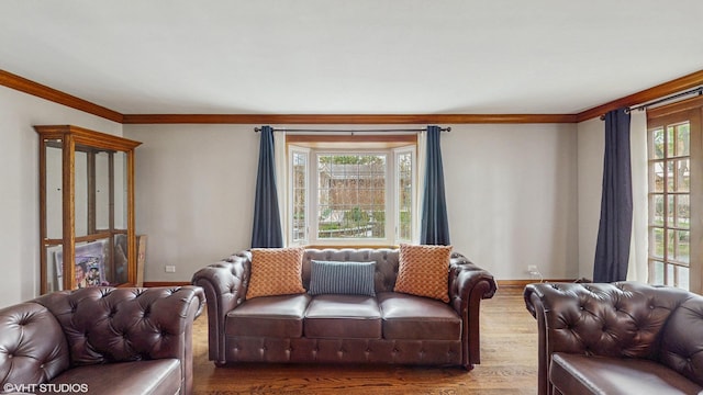 living room with crown molding, baseboards, and wood finished floors