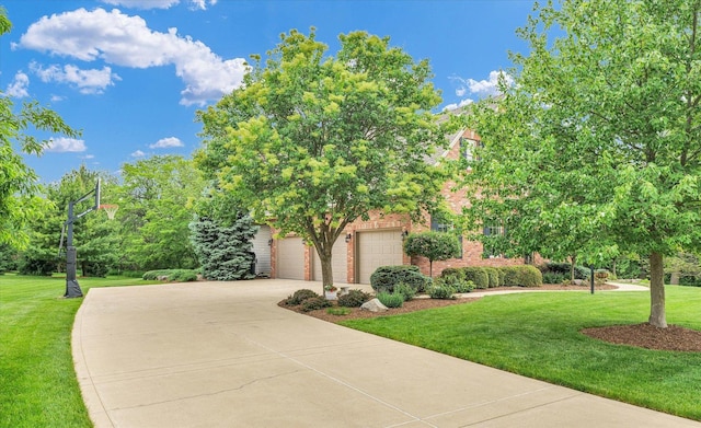 obstructed view of property featuring driveway, a front yard, and brick siding